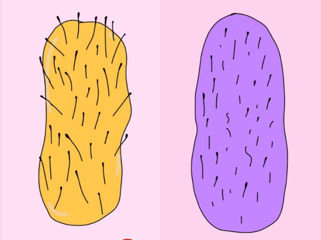 Sugaring vs. Waxing: Breakage Battle